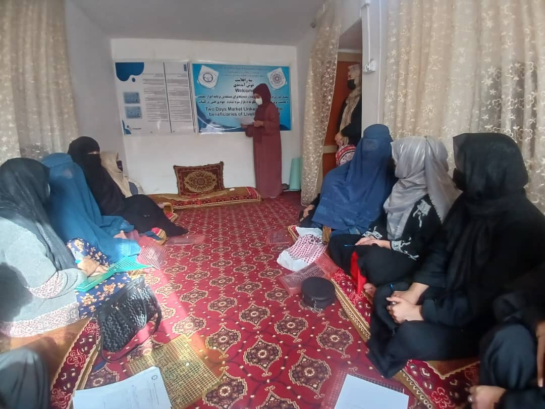 Education & Capacity Building